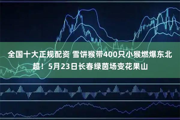 全国十大正规配资 雪饼猴带400只小猴燃爆东北超！5月23日长春绿茵场变花果山